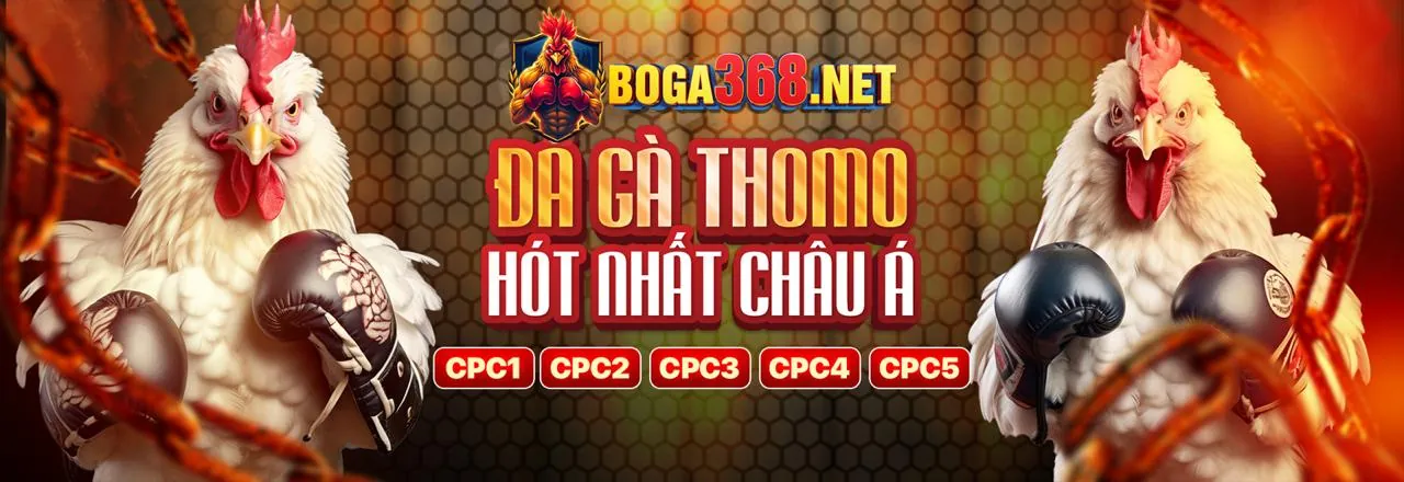 Tài nguyên toàn diện về BJ88 Đá Gà 2026