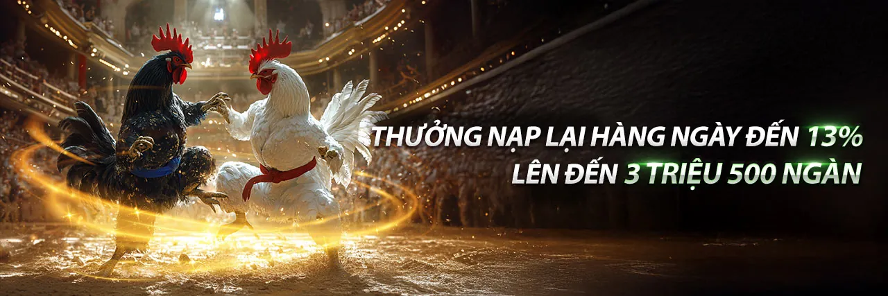 BJ88 Đá Gà Trực Tiếp – Sân chơi đỉnh cao