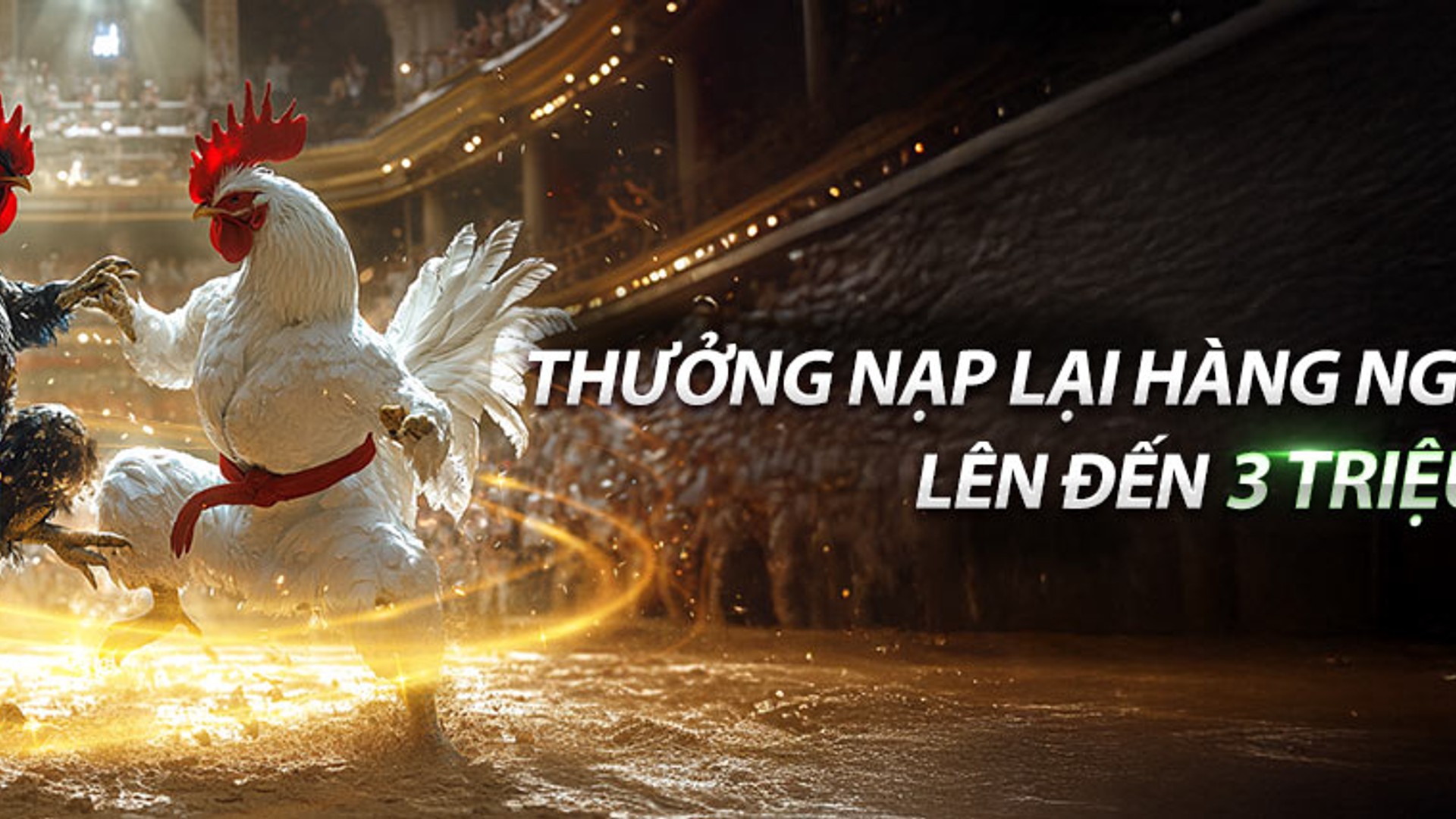 Sân đấu đá gà trực tuyến bj88 chuyên nghiệp