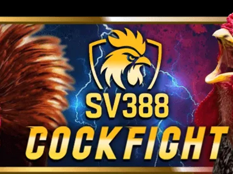 Hướng dẫn chơi đá gà bj88 cho người mới