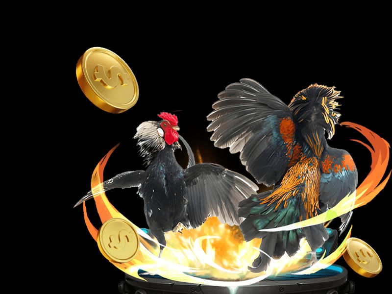 Sơ đồ giải thích luật chơi và các loại kèo cược đá gà BJ88